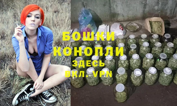 бутират Богданович