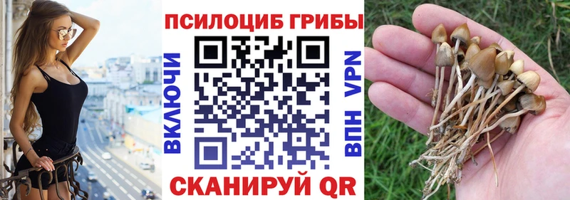 Псилоцибиновые грибы прущие грибы Оха